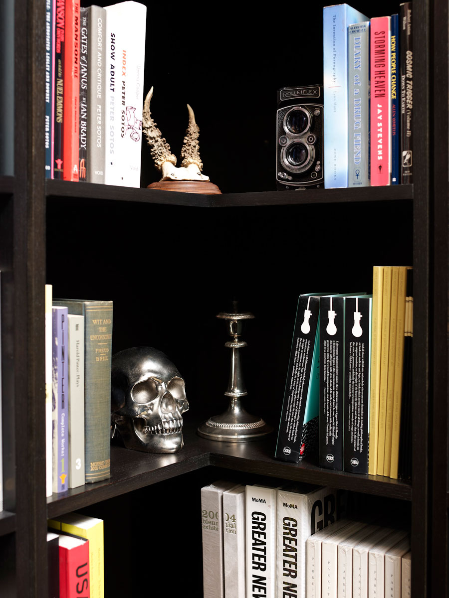bookshelves408.jpg