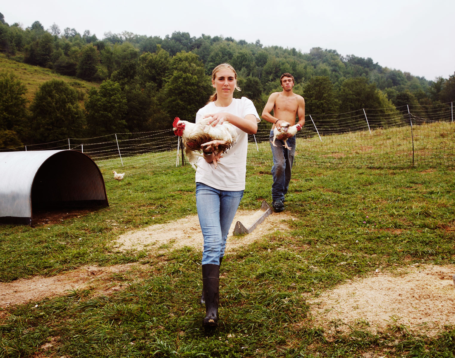 carryingchix.jpg