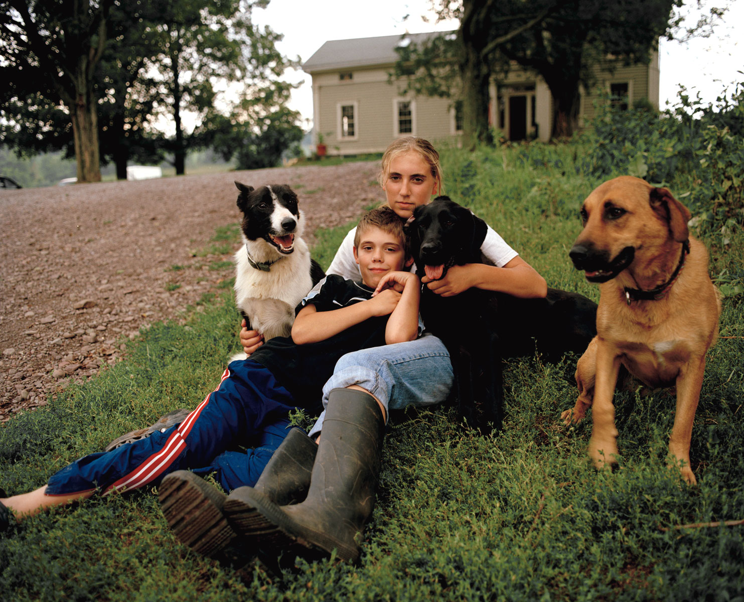 dogpile1.jpg