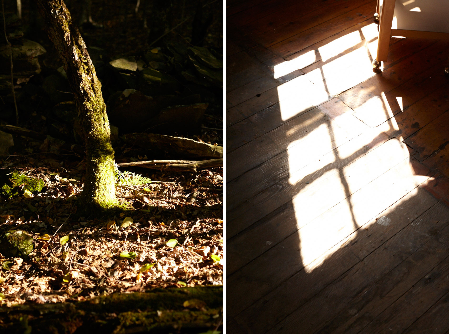 tree_floor_pair