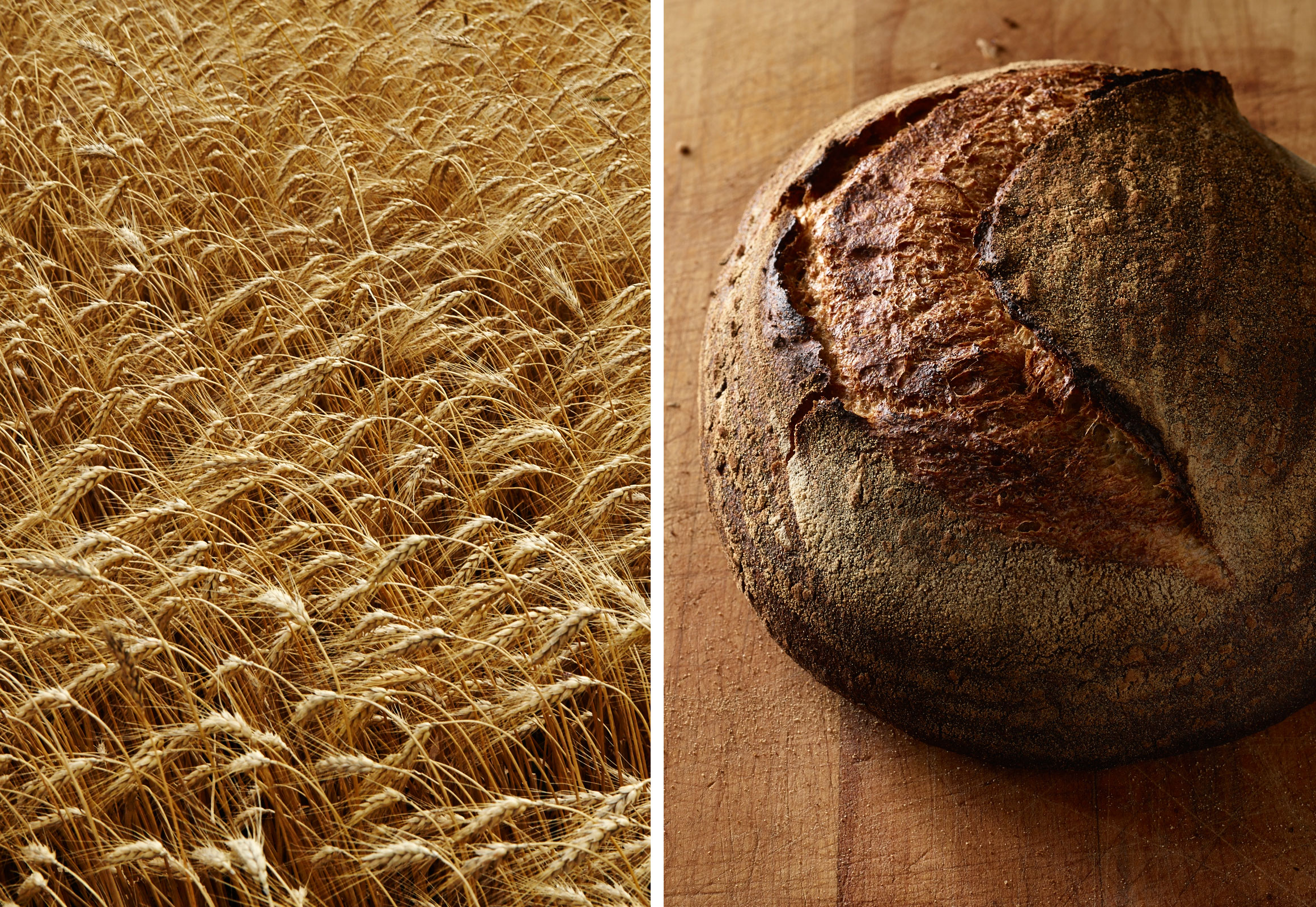 wheat_bread_pair